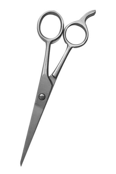 xolo Titanyum Vidalı Kuyruklu Mat Berber Makası