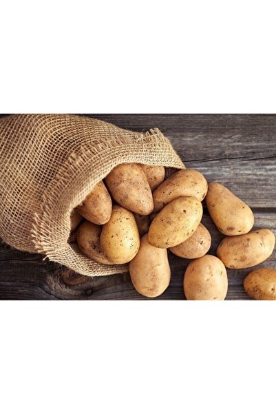 Patates 5 Kg