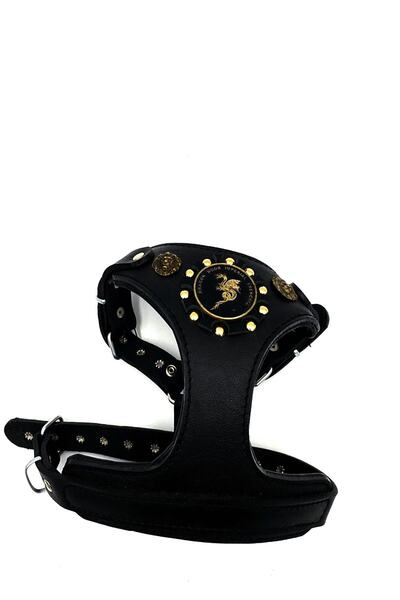 Tasma Market Küçük Irk Ve Yavru Köpekler Için Ejderhalı Deri Köpek Göğüs Tasması