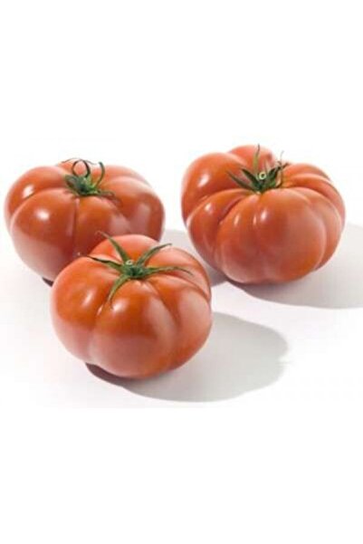 tohumbaba Domates Çanakkale Pakette 15 Adet Tohum