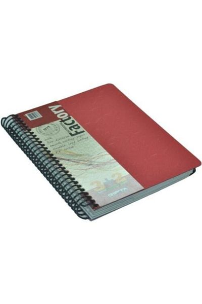 Gıpta Fabrică (17x24) 150 Yp. 5 Separator Plas. Caiet de copertă (1028) 3 secțiuni cu carouri + 2 linii