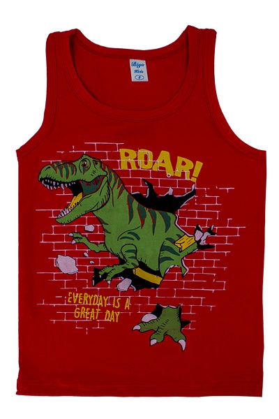 biyokids Boy's Undershirt 5 Pack Mixed Color Printed Undershirt Byo2552