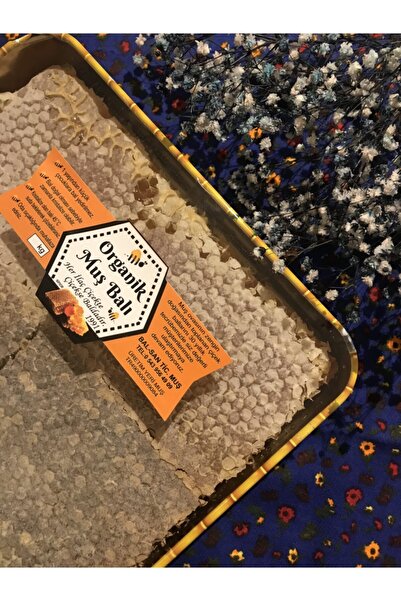 BALSAN Petek Bal (1500-1800GRAM) 2024 Yeni Sezon