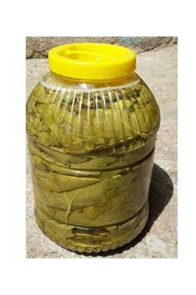 Manisabirliklezzet Salamura Yaprak 5 lt Ped  Ince Yaprak