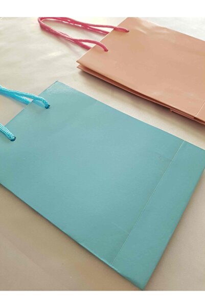 SOUL BY A&B Yılbaşı Hediye Kağıt Çanta 2li Kağıt Çanta Pembe Mavi Ipli Karton Çanta