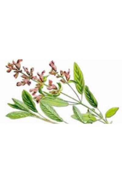 Insight Kepekli Saçlar İçin Arındırıcı Bakım 100 ml