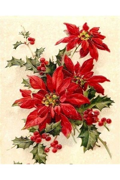 Marcel Kristal Tablo Red Flower Diamond Mosaic Painting in New Year's Series 41x51 cm