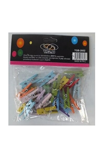 City Gross Tgb 2852 Mini Mandal Renkli