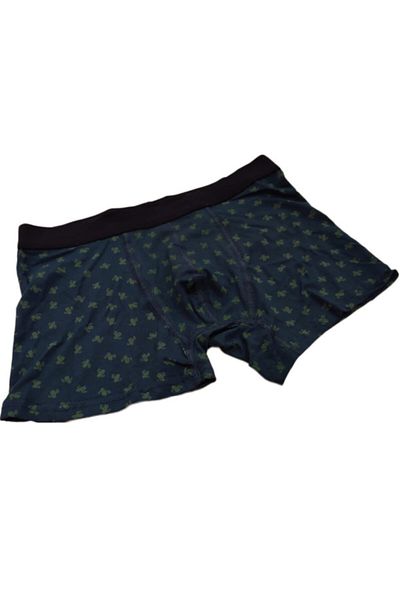 LİNOTTİ Men's Christmas Cactus Deer Patterned 2-Piece Boxer