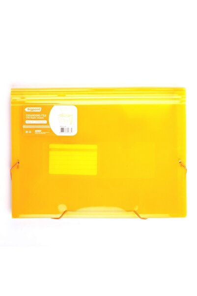 Bigpoint ملف منفاخ 13 جيبًا مطاطيًا مقاس A4 برتقالي