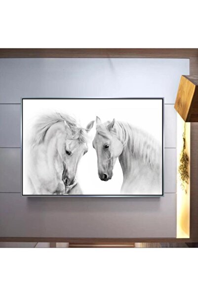 Markazip Gümüş Metal Çerçeveli Kanvas Tablo 70x100cm K790-g