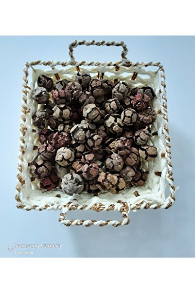 fundahobi Kozalak-15 Adet