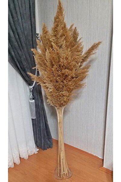 Öz Butik Naturel Kuru Çiçek Pampas 15 Adet 100 cm