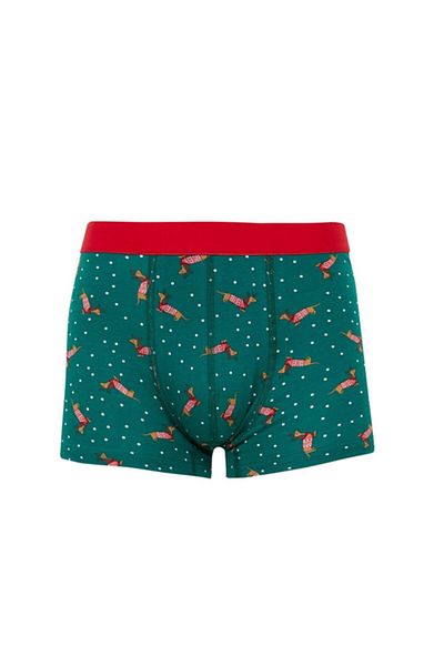 LİNOTTİ Men's Christmas Cactus Deer Patterned 2-Piece Boxer