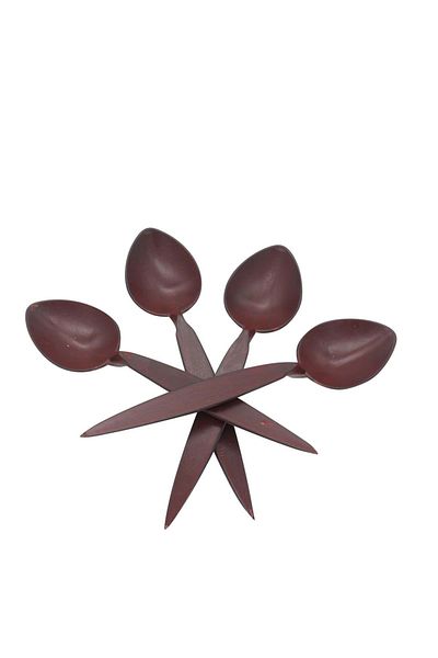 Harputlu Sağlık Harput Play Spoon Long Handle 40 Pieces