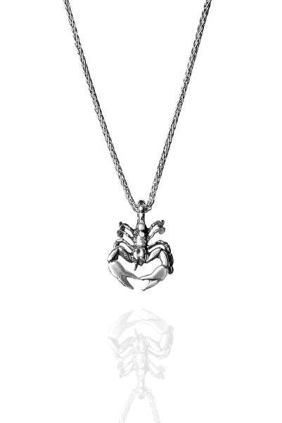 ENCİLİ SİLVER 925 Ayar Gümüş Küçük Akrep Model Erkek Kolye