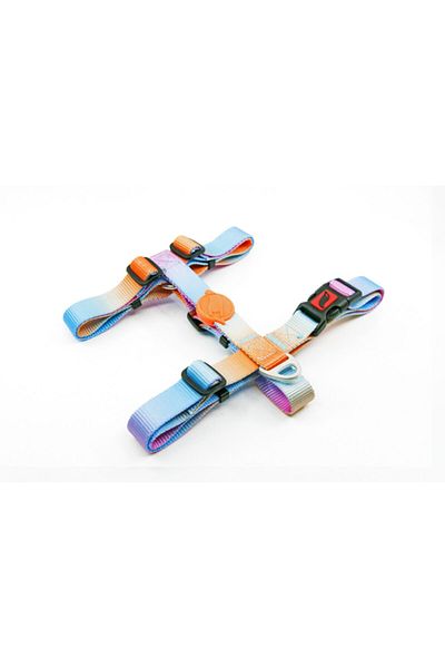 Tailpetz Harness من النوع H - طوق للكلاب، تمرير