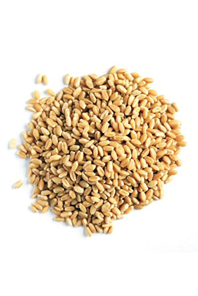 naturalköyürünleri Yerli Buğday 10 Kg