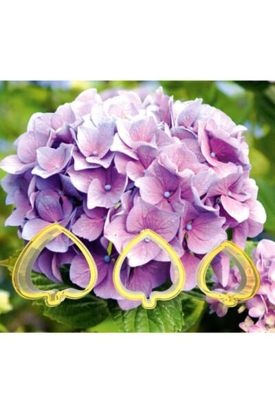 AGN STORE Hydrangea Flower Making Set 3 Pieces - Cookie Mold