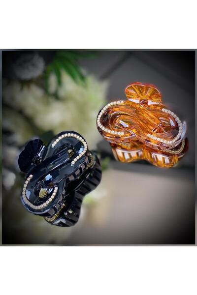 QUEEN AKSESUAR Special Classic Comb Latch Clip Crystal Stone Large Luxury Buckle Set of 2 Black Brown