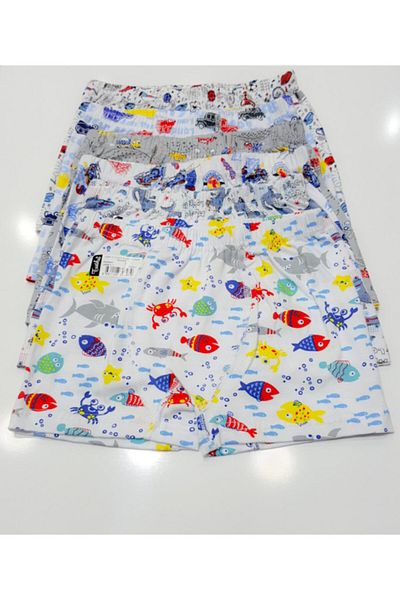 Tutku Boy's Yellow Elastane Printed Boxer Pack of 6
