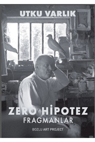 Bozlu Art Project Zero Hipotez - Fragmanlar / Utku Varlık / / 9786058333277