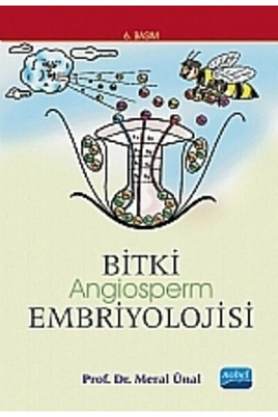 Nobel Akademik Yayıncılık Bitki Embriyolojisi Angiosperm