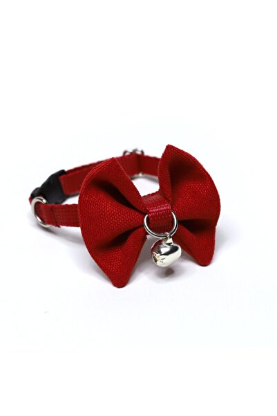 Kedi Tasmasi Modelleri Ve Fiyatlari Trendyol