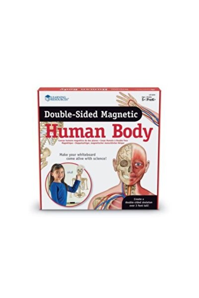 Learning Resources Oboustranné magnetické lidské tělo