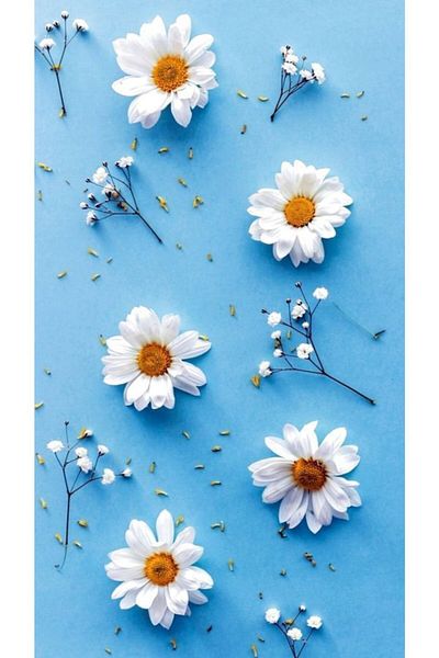The Soap Factory Chamomile Soap with Glycerin 100 Gr