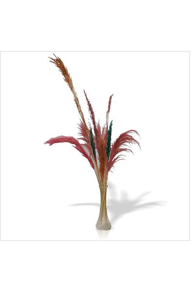 M3DECORİUM Μακρύ καμηλότριχο με πολλές φούντες Reed Flower Reed 8 τεμάχια μπαμπού κλαδιά γυάλινο βάζο