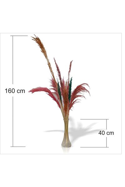 M3DECORİUM Μακρύ καμηλότριχο με πολλές φούντες Reed Flower Reed 8 τεμάχια μπαμπού κλαδιά γυάλινο βάζο