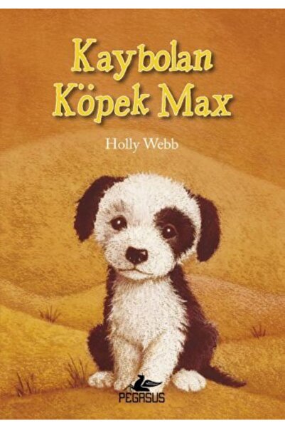 Pegasus Yayınları Kaybolan Köpek Max - Holly Webb