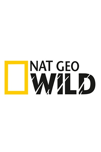 Melek Pazarı Nat Geo Wild Araba Stickerı 2 Adet 30 x 11 cm