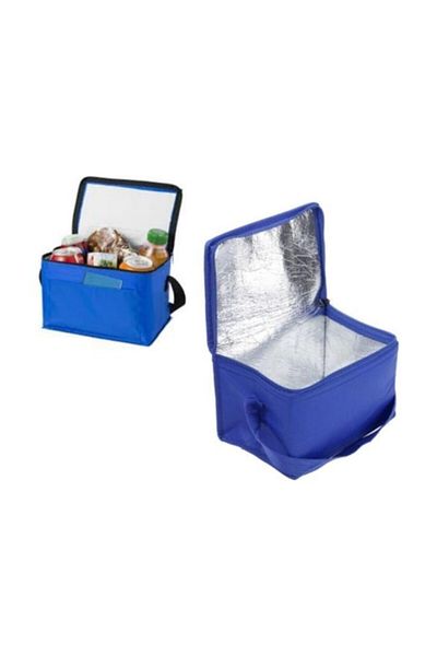 Ankaflex Geanta pentru picnic Geanta termos 21 litri Geanta frigorifica auto