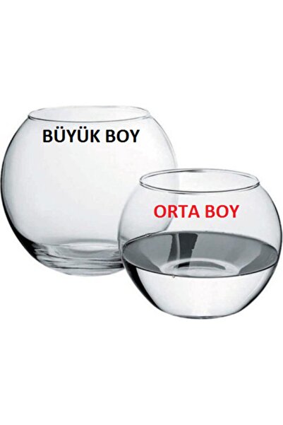 Genel Markalar Cam Fanus Teraryum Fanus Buyuk Boy