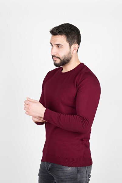 Çizgi Triko Regular Men's Knitwear Plum Sweater with Crew Neck Sleeves and Elastic Waist Winter