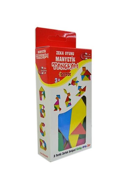Diytoy Manyetik Tangram Zeka Oynu 1321