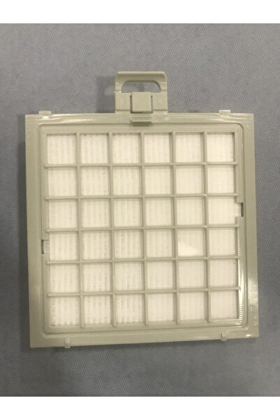 Bosch Ergomax Uyumlu Hepa Filtre