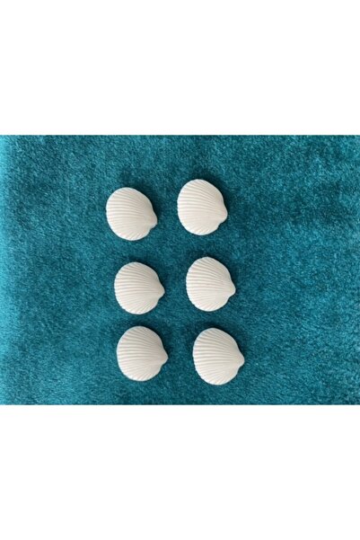 e tuhafiye 24 Seashell Buttons