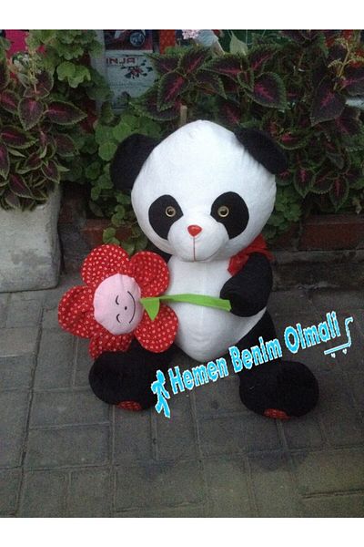 hediyecik 75 Cm Cute Plush Panda - Large Size Holding Flowers