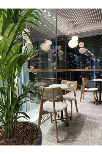 modelsa design Masif Ahşap Hazeranlı Original Yemek Sandalyesi Malayo