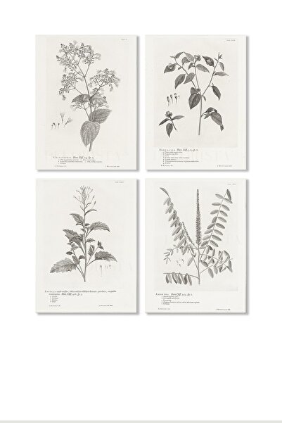 HOME DEKORİSTA Vintage 4'li Çiçek Poster, Galeri Duvarı, Sanatsal Baskı