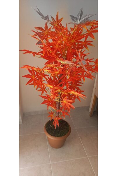 ERHAN FLOWERS 100 Cm Kızıl Çınar Agacı Plastik Saksıda