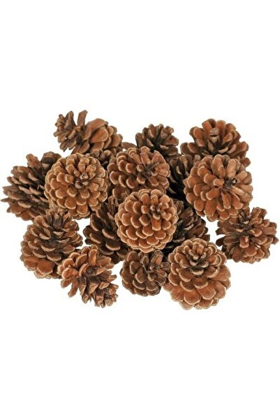 Kozalak Decorative Pine Cone 20 Pieces