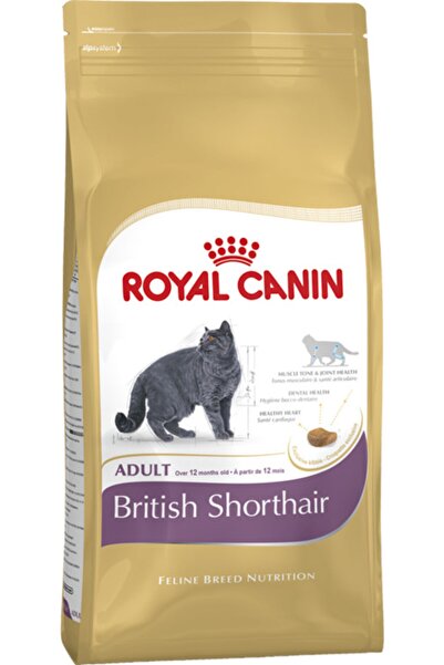 Royal Canin British Shorthair Için Özel Yetişkin Kedi Maması 10 Kg