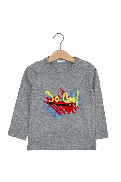 Mavipink Dečačka majica sa dugim rukavima, sivog boje, sa kul printom