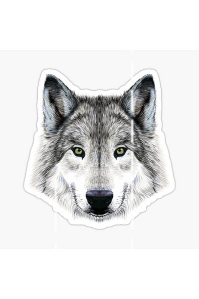 TSC Autocolant pentru mașină Furious Angry Wolf Auto Paste 18cm U1