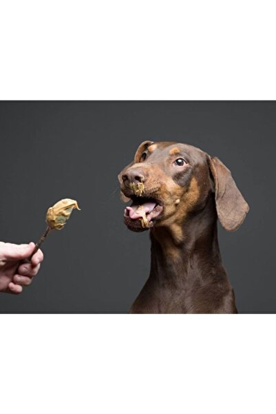 Patinut Ödül Maması - Kedi Ve Köpekler Için Fıstık Ezmesi - 1 Kg