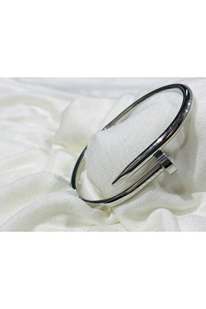 Çelik Paslanmaz Çivi Kelepçe